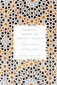 Experience, Meaning, and Identity in Sexuality_cover