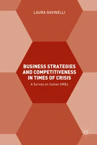 Business Strategies and Competitiveness in Times of Crisis_cover