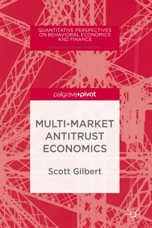 Multi-Market Antitrust Economics