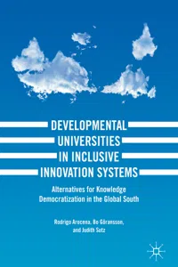 Developmental Universities in Inclusive Innovation Systems_cover