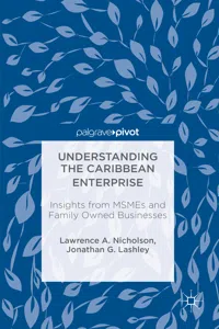 Understanding the Caribbean Enterprise_cover