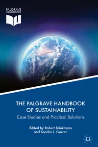 The Palgrave Handbook of Sustainability_cover