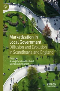 Marketization in Local Government_cover