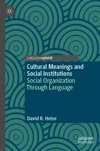 Cultural Meanings and Social Institutions_cover