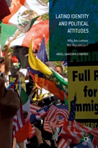 Latino Identity and Political Attitudes_cover