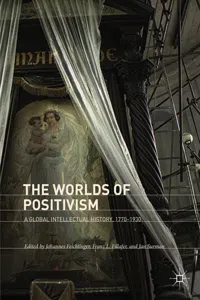 The Worlds of Positivism_cover