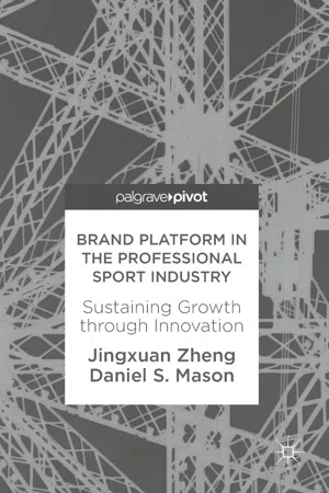 Brand Platform in the Professional Sport Industry