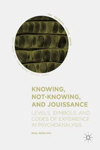 Knowing, Not-Knowing, and Jouissance_cover