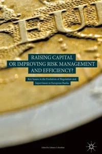 Raising Capital or Improving Risk Management and Efficiency?_cover