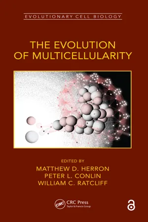 The Evolution of Multicellularity