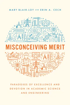 Misconceiving Merit