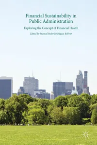 Financial Sustainability in Public Administration_cover