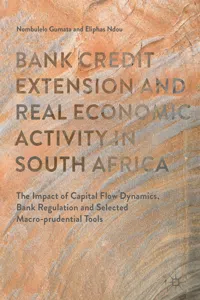 Bank Credit Extension and Real Economic Activity in South Africa_cover