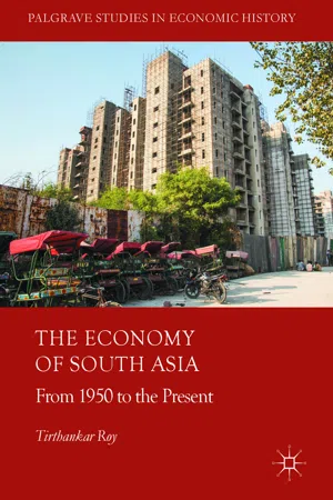 The Economy of South Asia