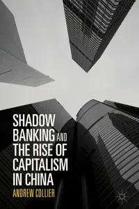 Shadow Banking and the Rise of Capitalism in China_cover