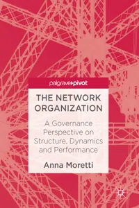 The Network Organization_cover