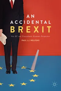 An Accidental Brexit_cover