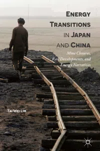 Energy Transitions in Japan and China_cover