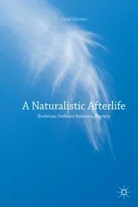 A Naturalistic Afterlife_cover