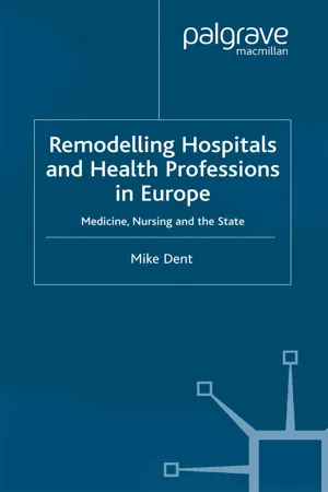 Remodelling Hospitals and Health Professions in Europe