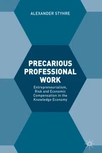 Precarious Professional Work_cover