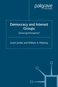 Democracy and Interest Groups_cover