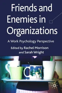 Friends and Enemies in Organizations_cover