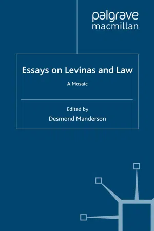 Essays on Levinas and Law