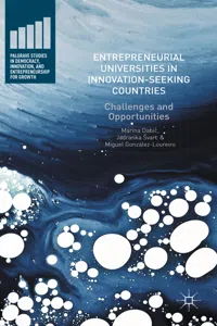 Entrepreneurial Universities in Innovation-Seeking Countries_cover