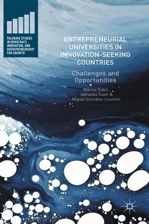 Entrepreneurial Universities in Innovation-Seeking Countries