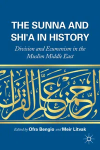 The Sunna and Shi'a in History_cover