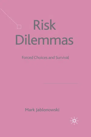 Risk Dilemmas