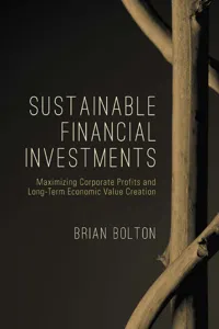 Sustainable Financial Investments_cover