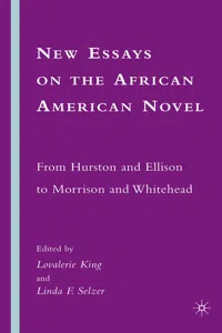 New Essays on the African American Novel_cover