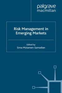 Risk Management in Emerging Markets_cover