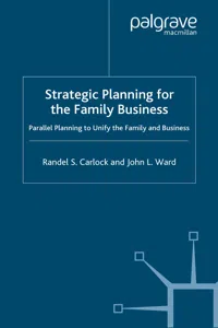 Strategic Planning for The Family Business_cover