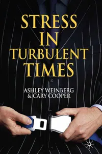 Stress in Turbulent Times_cover