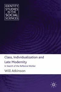 Class, Individualization and Late Modernity_cover