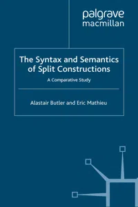 The Syntax and Semantics of Split Constructions_cover