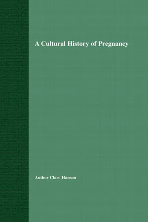 A Cultural History of Pregnancy