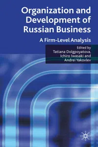 Organization and Development of Russian Business_cover