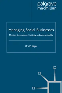 Managing Social Businesses_cover