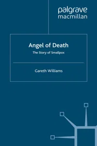 Angel of Death_cover
