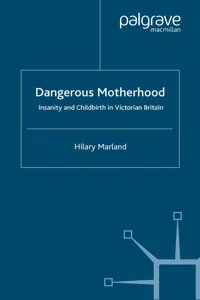 Dangerous Motherhood_cover