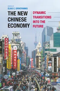 The New Chinese Economy_cover