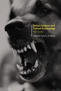 Social Censure and Critical Criminology_cover