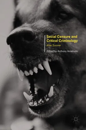 Social Censure and Critical Criminology