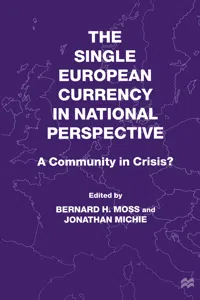 The Single European Currency in National Perspective_cover