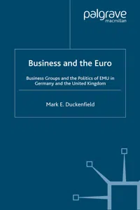 Business and the Euro_cover