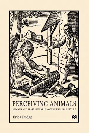 Perceiving Animals